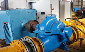 variable requency motor